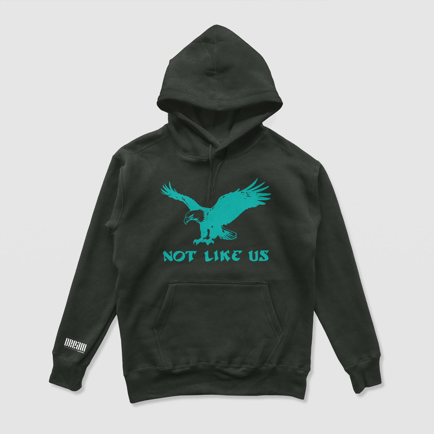 Not Like Us Hoodie (Philly Edition)