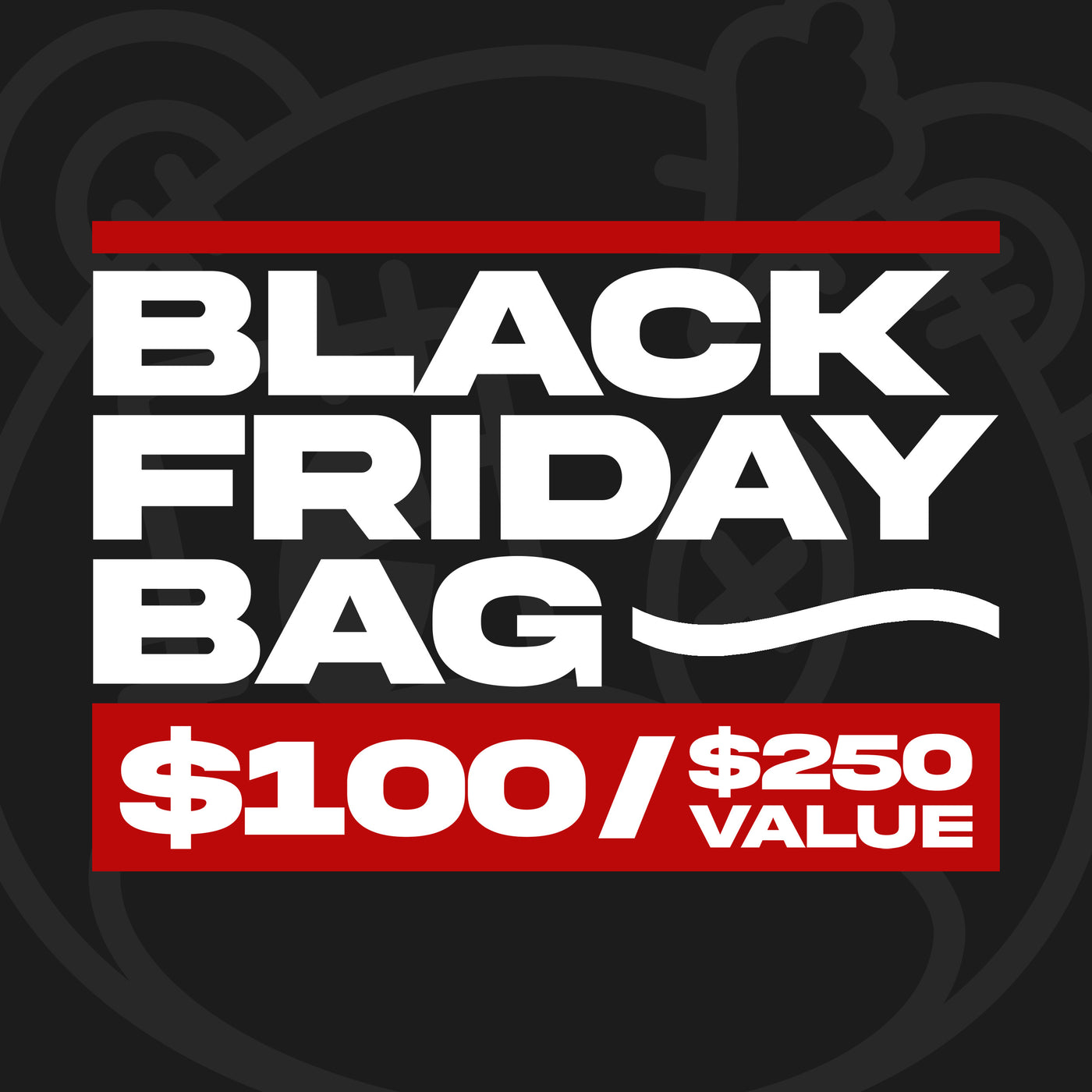 $100 Black Friday Bag